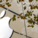 Apple 2025-ci ildə patent fəaliyyətini kəskin şəkildə azaldacaq