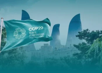 COP29 Azərbaycan Əməliyyat Şirkəti ləğv edilib