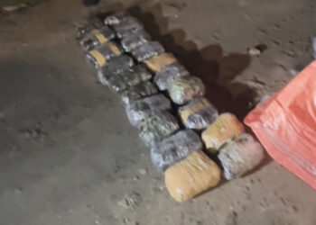 Bakıda 22 kiloqram narkotik aşkarlanıb