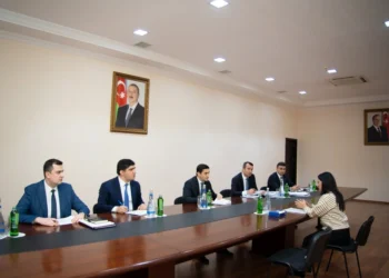 Fərid Əhmədov Salyanda vətəndaşları qəbul edib
