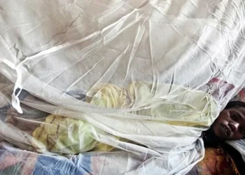 Bu il Nigeriyada Lassa qızdırmasından 17 nəfər ölüb