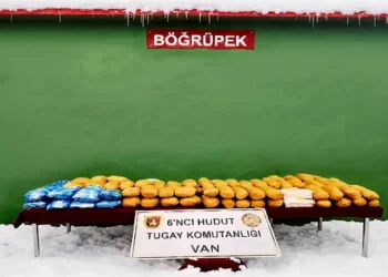 Türkiyənin Van sərhəd xəttində 50 kq narkotik maddə ələ keçirilib
