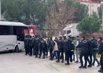 Türkiyədə cinayətkar qruplaşmaya qarşı əməliyyat zamanı 15 nəfər saxlanılıb