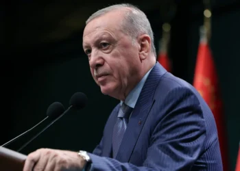 Türkiyə terrorla mübarizədə Nigeriyaya yardım edəcək