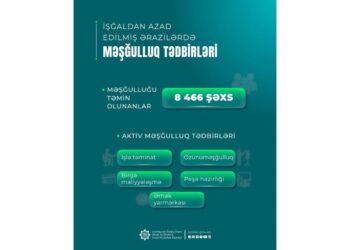 Azad edilmiş ərazilərə köçən 8466 nəfərin məşğulluğu təmin edilib