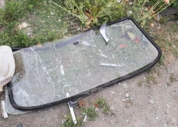 Qəbələdə avtomobil ağaca çırpılıb, sürücü ölüb