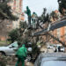 Bakıda güclü külək 19 ağacı sındırıb