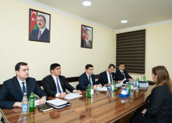 Nazir Fərid Əhmədov Göyçayda qəbul keçirib