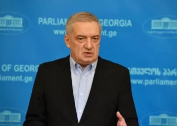 Vitse-spiker: Gürcüstan Azərbaycan-Ermənistan münasibətlərinin yaxşılaşmasından məmnundur