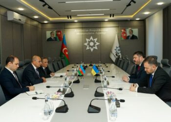 Azərbaycanla Ukrayna mina təhlükəsi ilə mübarizədə əməkdaşlığı müzakirə edib