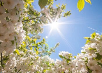 Martda temperatur iqlim normasından yüksək olacaq – AYLIQ PROQNOZ
