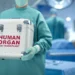 Azərbaycanda son bir ildə 11 meyitdən orqan köçürülməsi həyata keçirilib