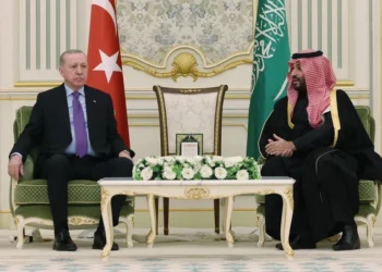 Ər-Riyadda Qəzza, Yəmən və Şərqi Afrikada müzakirə edilib