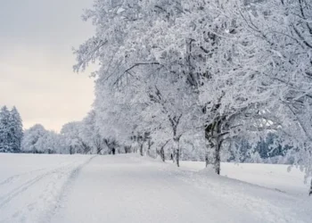 Sabah bəzi dağlıq ərazilərdə qar yağacaq, yollar buz bağlayacaq