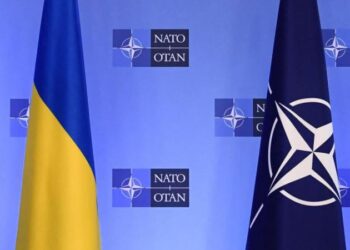 NATO: Yerdə qoşunlar, havada reaktiv təyyarələr, Qara dənizdə gəmilər