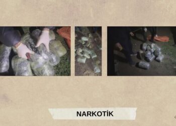 Qaradağda 66 kiloqram narkotik vasitə qanunsuz dövriyyədən çıxarıldı – VİDEO