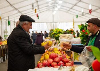 “Kənddən Şəhərə” Novruz yarmarkaları başlayır