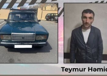 Göyçayda narkotikin təsiri altında avtomobil idarə edən sürücü həbs olundu