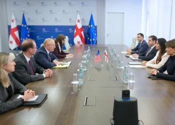 ABŞ rəsmisi ilə Gürcüstanın Orta Dəhlizdə rolunun gücləndirilməsi müzakirə olunub