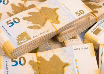 Naxçıvanda vergi daxilolmaları 4%-ə yaxın artıb