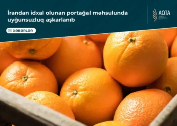İrandan Azərbaycana gətirilən 21 tondan çox portağalda rəngləyici maddə aşkarlanıb