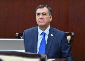 “Müvafiq dövlət orqanları ictimaiyyəti vaxtında məlumatlandırmalıdırlar” – Qüdrət Həsənquliyev