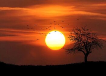 Son 11 il tarixə ən isti illər kimi düşdü