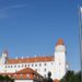 Slovakiya xarici avtomobillər üçün dizelin qiymətini 2 avrodan çox artırdı