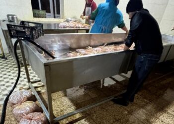Lənkəranda toyuq kəsimi sexinin qanunsuz fəaliyyəti aşkarlandı