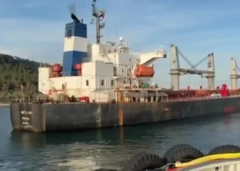 Rusiyadan Misirə gedən yük gəmisi Çanaqqala boğazında saya oturub