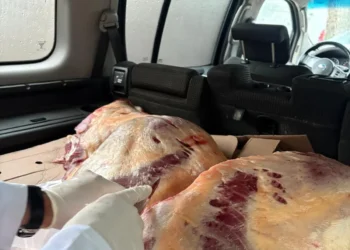 İstehlaka yararsız 227 kq at əti aşkarlanıb
