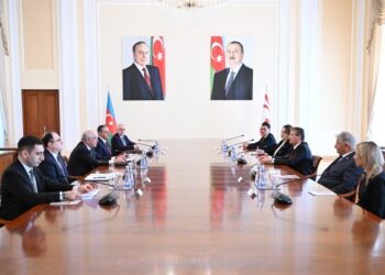 Əli Əsədov Şimali Kiprin Baş naziri ilə görüşdü