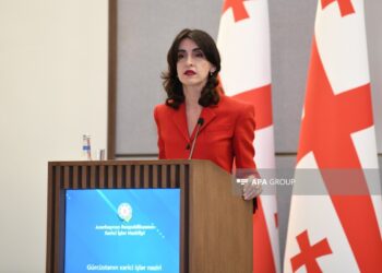 Gürcüstan XİN rəhbəri: Azərbaycanla münasibətlər olduqca intensivdir