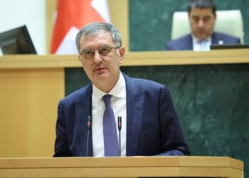 Gürcü vitse-spiker: Azərbaycanda sülh olmasa, Gürcüstanın inkişafı mümkünsüzdür