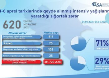 Yağışın sığortalı əmlaklara vurduğu ziyanın həcmi açıqlanıb