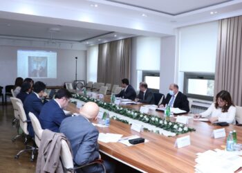 Yasamalda yeni aşkarlanmış 31 abidə dövlət mühafizəsinə götürüləcək