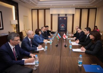 Azərbaycan və Gürcüstanın parlament sədrləri regional sülhü müzakirə edib