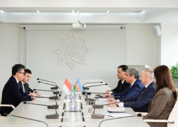 Anar Əliyev İndoneziya səfiri ilə görüşüb