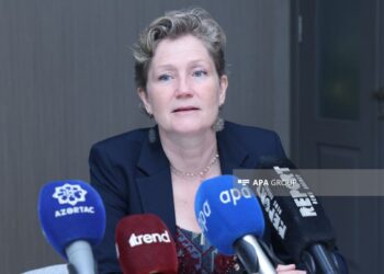 Səfir: Niderland Azərbaycan və Ermənistan arasında sülh prosesini dəstəkləyir