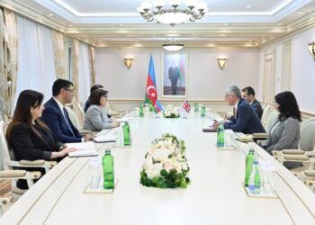 Milli Məclisin sədri Britaniya səfiri ilə görüşüb