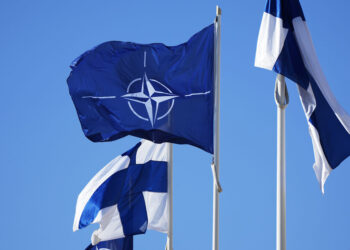 Finlandiya ABŞ ilə müttəfiqliyi axmaq hesab edir