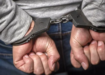 Bu il beynəlxalq axtarışda olan 22 nəfər xarici ölkələrdən ektradisiya edilib, 6 nəfər təhvil verilib