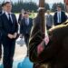 “Türkiyədən çox şey öyrənə bilərik” – Rutte