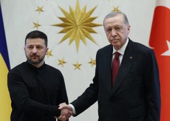 Ərdoğan və Zelenski arasında görüş başlayıb