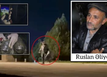 Şirvanda 8 kiloqram narkotik vasitə aşkarlandı