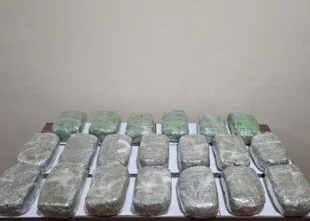İrandan Azərbaycana 21 kq narkotikin keçirilməsinin qarşısı alınıb