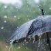 Hava ilə bağlı xəbərdarlıq: Yağış yağacaq