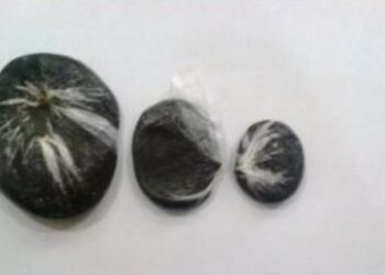 Polis 44,3 kiloqramdan artıq narkotik vasitə aşkarladı