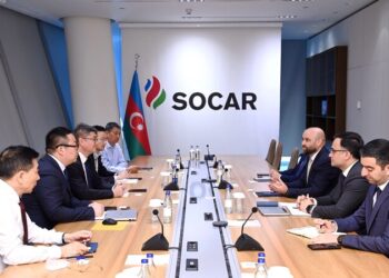 “Abşeron” yatağının işlənməsi layihəsi üzrə Çin ilə əməkdaşlıq müzakirə edildi