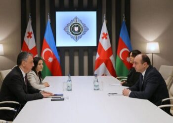 Geka Geladze Azərbaycan səfiri ilə görüşdü